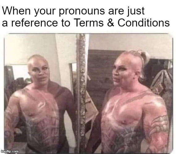 . | When your pronouns are just a reference to Terms & Conditions | image tagged in gender identity,funny | made w/ Imgflip meme maker