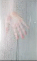Shower Touch | image tagged in gifs | made w/ Imgflip video-to-gif maker