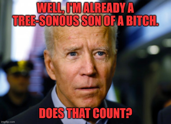 Joe Biden confused | WELL, I'M ALREADY A TREE-SONOUS SON OF A BITCH. DOES THAT COUNT? | image tagged in joe biden confused | made w/ Imgflip meme maker