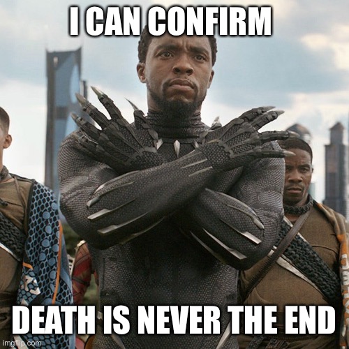 Wakanda Forever | I CAN CONFIRM DEATH IS NEVER THE END | image tagged in wakanda forever | made w/ Imgflip meme maker