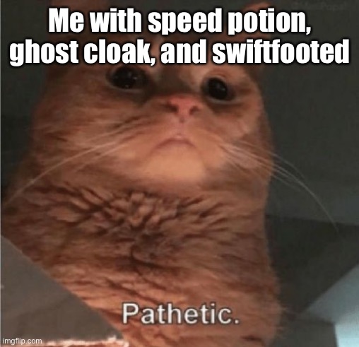 Pathetic Cat | Me with speed potion, ghost cloak, and swiftfooted | image tagged in pathetic cat | made w/ Imgflip meme maker