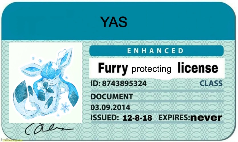 Furry Protecting License | YAS; protecting | image tagged in furry hunting license | made w/ Imgflip meme maker