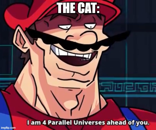 I Am 4 Parallel Universes Ahead Of You | THE CAT: | image tagged in i am 4 parallel universes ahead of you | made w/ Imgflip meme maker