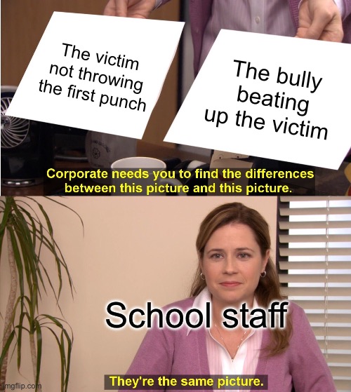 Literally my school | The victim not throwing the first punch; The bully beating up the victim; School staff | image tagged in memes,they're the same picture | made w/ Imgflip meme maker