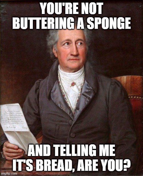 A distracted existence leads us to no goal. | YOU'RE NOT BUTTERING A SPONGE; AND TELLING ME IT'S BREAD, ARE YOU? | image tagged in goethe | made w/ Imgflip meme maker