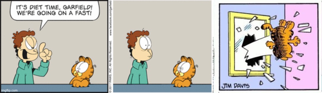 image tagged in garfield gets thrown out of a window | made w/ Imgflip meme maker
