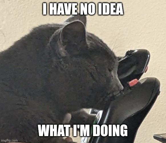 yes this is my cat | I HAVE NO IDEA; WHAT I'M DOING | image tagged in cat pilot,pilot,yoke,airplane,aviation,pilot cat | made w/ Imgflip meme maker