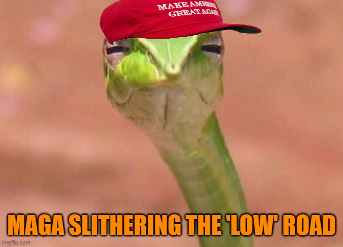 Skeptical snake | MAGA SLITHERING THE 'LOW' ROAD | image tagged in skeptical snake | made w/ Imgflip meme maker