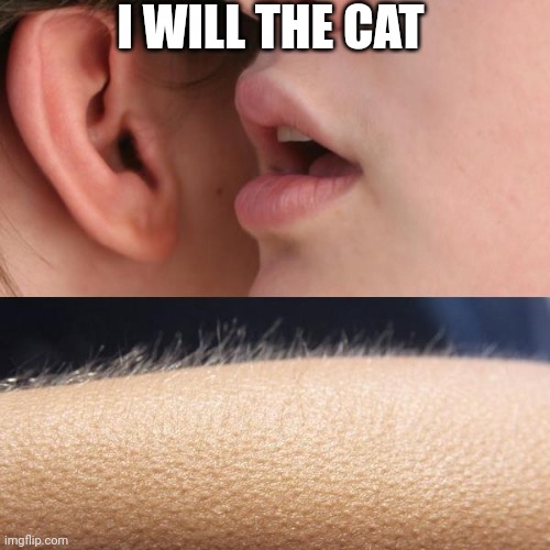 And NO ONE CAN STOP ME!!!!!! | I WILL THE CAT | image tagged in whisper and goosebumps,please do not the cat | made w/ Imgflip meme maker