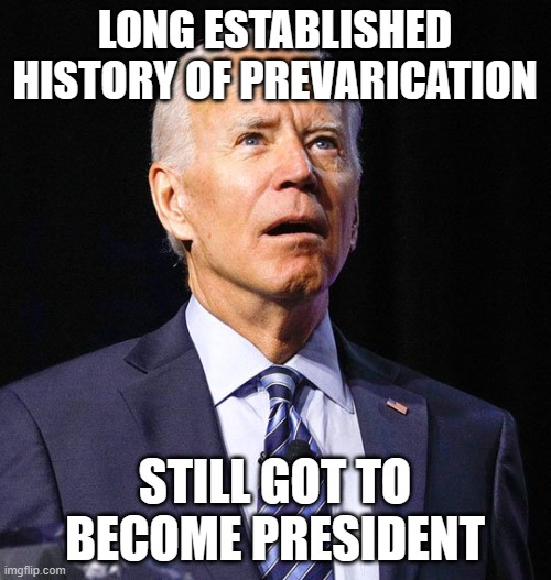 Joe Biden | LONG ESTABLISHED HISTORY OF PREVARICATION STILL GOT TO BECOME PRESIDENT | image tagged in joe biden | made w/ Imgflip meme maker