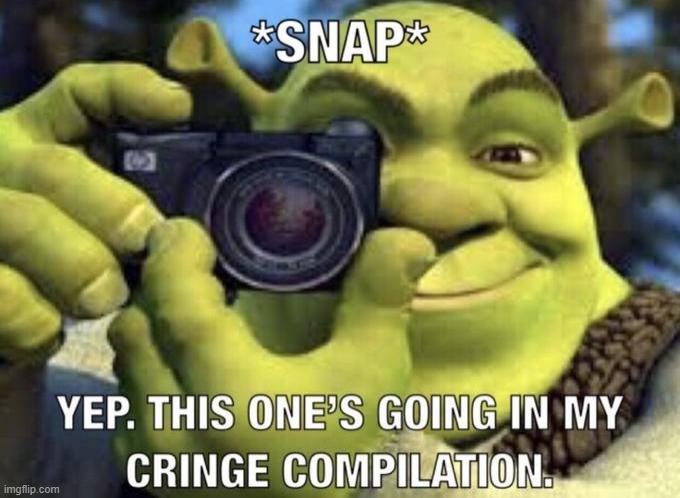 yep this one's going in my cringe compilation | image tagged in yep this one's going in my cringe compilation | made w/ Imgflip meme maker