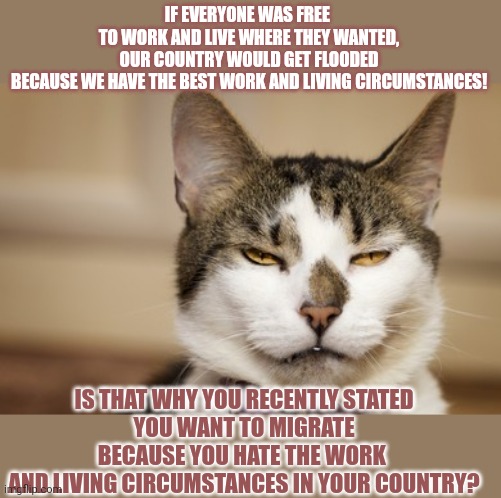 This #lolcat wonders why you complain about your country while you think it's the best. | IF EVERYONE WAS FREE 
TO WORK AND LIVE WHERE THEY WANTED,
OUR COUNTRY WOULD GET FLOODED
BECAUSE WE HAVE THE BEST WORK AND LIVING CIRCUMSTANCES! IS THAT WHY YOU RECENTLY STATED
YOU WANT TO MIGRATE
BECAUSE YOU HATE THE WORK 
AND LIVING CIRCUMSTANCES IN YOUR COUNTRY? | image tagged in double standards,lolcat,immigration,think about it | made w/ Imgflip meme maker