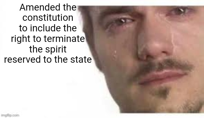 You just end up with people hopping states and establishing culture | Amended the constitution to include the right to terminate the spirit reserved to the state | image tagged in bro please bro | made w/ Imgflip meme maker