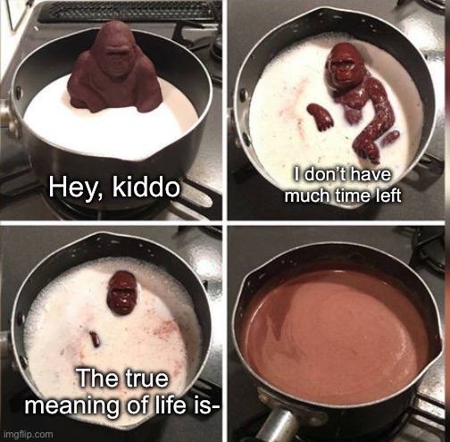Its- *melts* |  I don’t have much time left; Hey, kiddo; The true meaning of life is- | image tagged in hey kid i don't have much time,the meaning of life | made w/ Imgflip meme maker