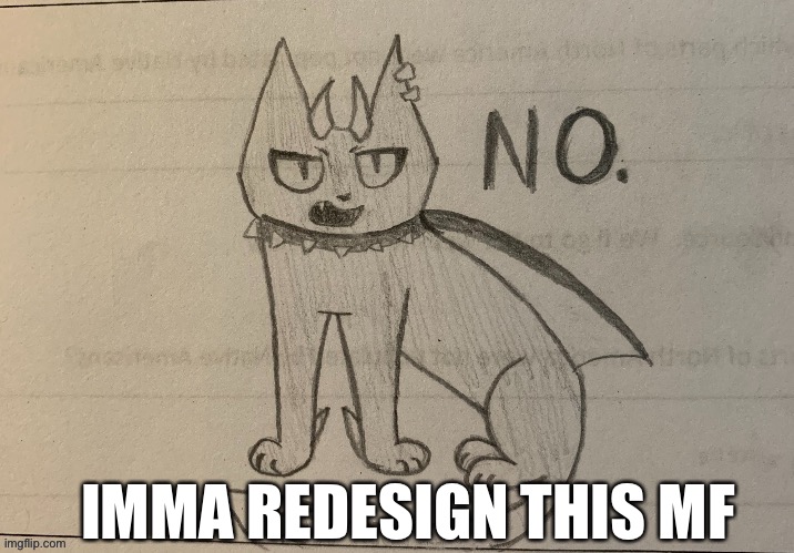 no | IMMA REDESIGN THIS MF | image tagged in no | made w/ Imgflip meme maker