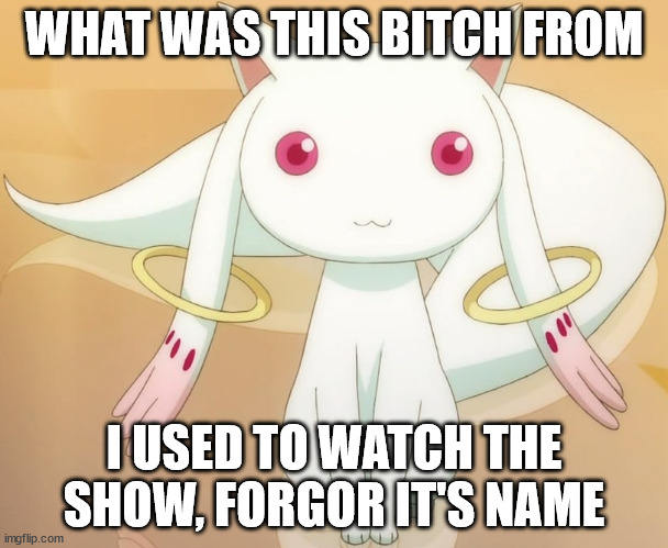 Kyubey | WHAT WAS THIS BITCH FROM; I USED TO WATCH THE SHOW, FORGOR IT'S NAME | image tagged in kyubey | made w/ Imgflip meme maker