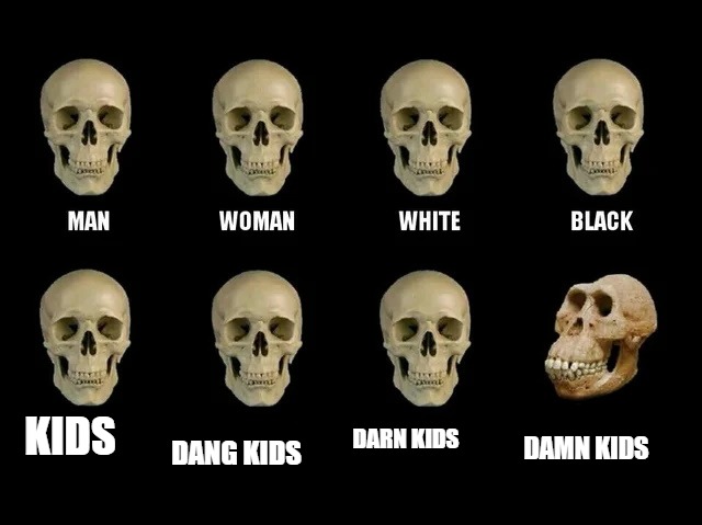 KIDS; DARN KIDS; DAMN KIDS; DANG KIDS | image tagged in skulls | made w/ Imgflip meme maker