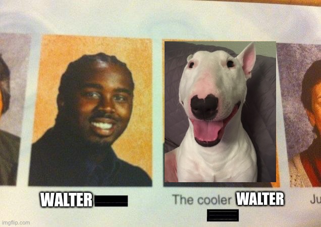 The Cooler Daniel | WALTER; WALTER | image tagged in the cooler daniel | made w/ Imgflip meme maker