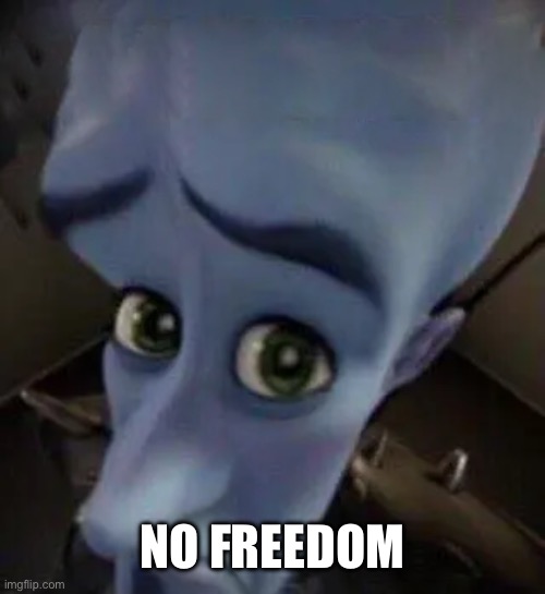 megamind no b | NO FREEDOM | image tagged in megamind no b | made w/ Imgflip meme maker