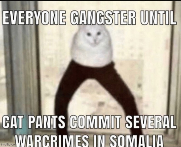 Cat pants’ war crimes | image tagged in cat,pants,war criminal,ive committed various war crimes | made w/ Imgflip meme maker