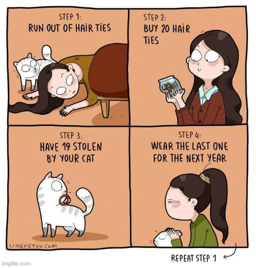 A Cat Lady's Way Of Thinking | image tagged in memes,comics,cats,steal,hair,bands | made w/ Imgflip meme maker