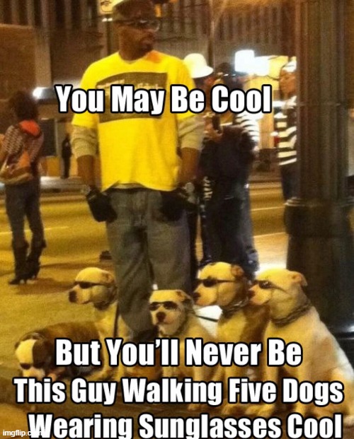 cool dogs | image tagged in dogs | made w/ Imgflip meme maker