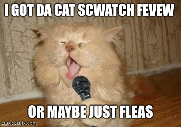 Cat Singing | I GOT DA CAT SCWATCH FEVEW; OR MAYBE JUST FLEAS | image tagged in cat singing | made w/ Imgflip meme maker