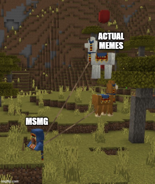 NEW TEMPLATE! bedrock edition is so fun to make random templates | ACTUAL MEMES; MSMG | image tagged in flying llamas | made w/ Imgflip meme maker