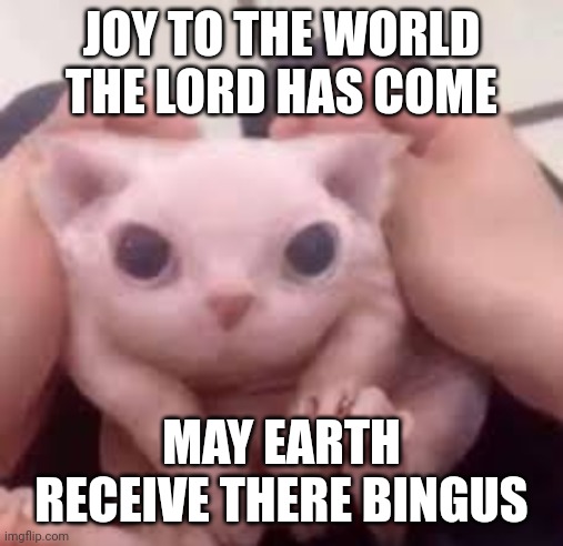 Scrunched Bingus | JOY TO THE WORLD THE LORD HAS COME; MAY EARTH RECEIVE THERE BINGUS | image tagged in scrunched bingus | made w/ Imgflip meme maker
