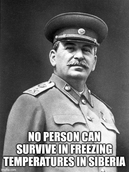 Papa Stalin is right | NO PERSON CAN SURVIVE IN FREEZING TEMPERATURES IN SIBERIA | image tagged in stalin,joseph stalin,gulag,russia | made w/ Imgflip meme maker