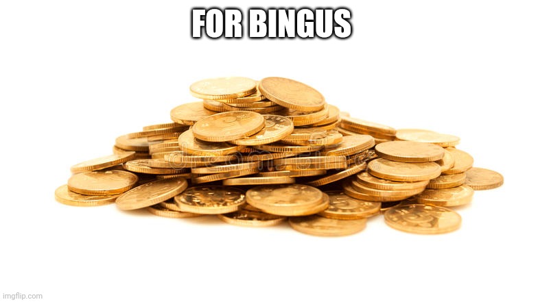 Gold coins | FOR BINGUS | image tagged in gold coins | made w/ Imgflip meme maker