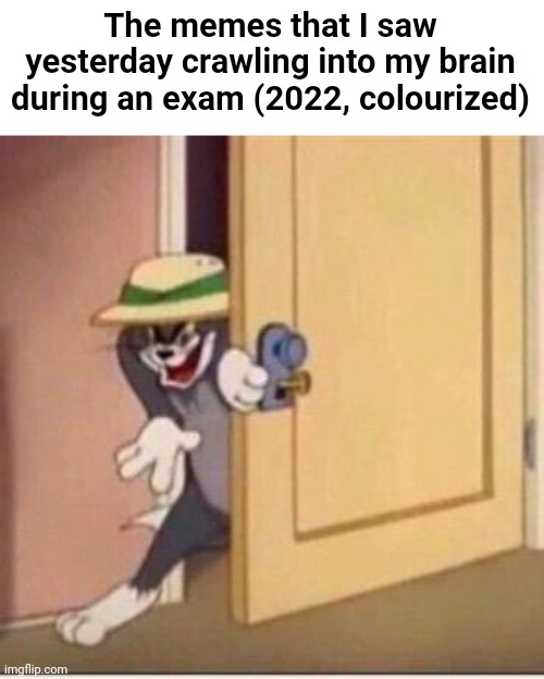 B | The memes that I saw yesterday crawling into my brain during an exam (2022, colourized) | image tagged in sneaky tom | made w/ Imgflip meme maker