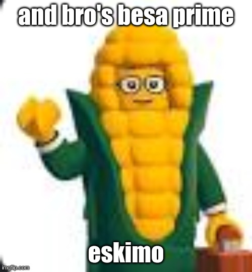 solomon fleck | and bro's besa prime; eskimo | image tagged in solomon fleck | made w/ Imgflip meme maker