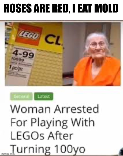 Too old | ROSES ARE RED, I EAT MOLD | image tagged in lego,legos,too old,funny | made w/ Imgflip meme maker