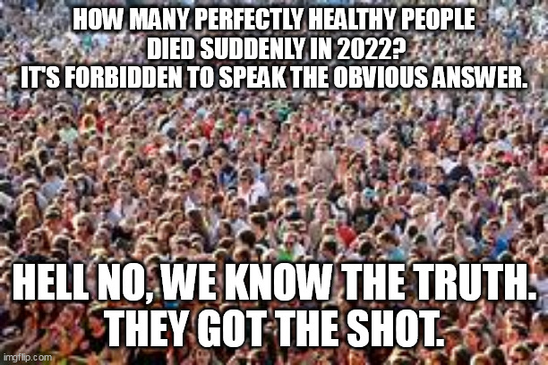 WE KNOW THE TRUTH. | HOW MANY PERFECTLY HEALTHY PEOPLE
 DIED SUDDENLY IN 2022?
 IT'S FORBIDDEN TO SPEAK THE OBVIOUS ANSWER. HELL NO, WE KNOW THE TRUTH.
THEY GOT THE SHOT. | image tagged in covid,shot | made w/ Imgflip meme maker