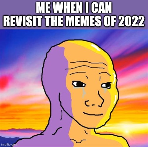 Sunset Wojak | ME WHEN I CAN REVISIT THE MEMES OF 2022; I LITERALLY STAYED UP UNTIL THE VERY SECOND IT HIT 2023
ALSO, WHY ARE YOU READING THE IMAGE DESCRIPTION | image tagged in sunset wojak | made w/ Imgflip meme maker