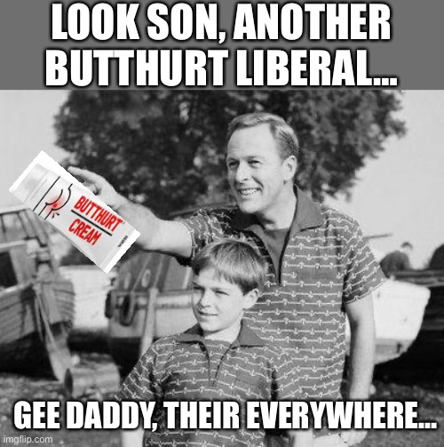 LOOK SON, ANOTHER BUTTHURT LIBERAL…; GEE DADDY, THEIR EVERYWHERE… | image tagged in look son | made w/ Imgflip meme maker