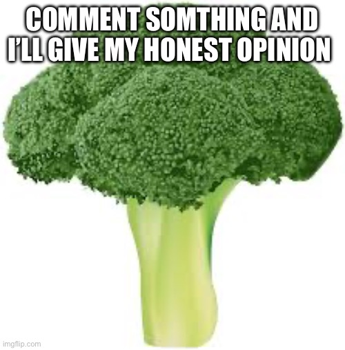 What if i disabled comments lmao | COMMENT SOMTHING AND I’LL GIVE MY HONEST OPINION | image tagged in broccoli for no reason | made w/ Imgflip meme maker