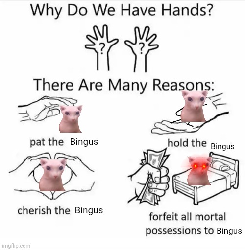B I N G U S | Bingus; Bingus; Bingus; Bingus | image tagged in why do we have hands all blank,bingus | made w/ Imgflip meme maker