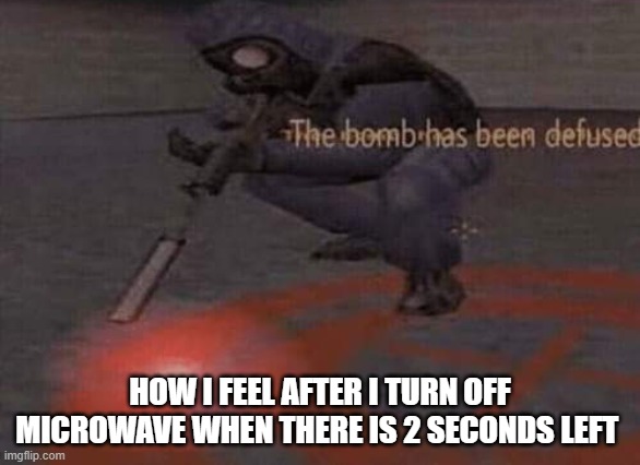 The bomb has been defused | HOW I FEEL AFTER I TURN OFF MICROWAVE WHEN THERE IS 2 SECONDS LEFT | image tagged in the bomb has been defused | made w/ Imgflip meme maker