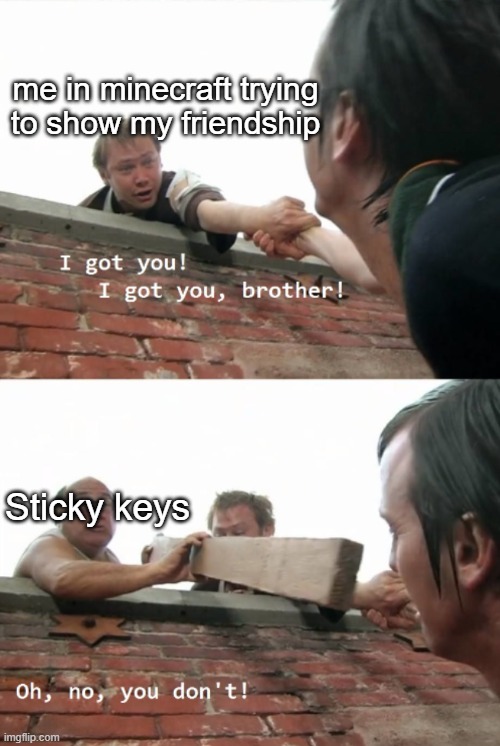 Oh, no, you don't | me in minecraft trying to show my friendship; Sticky keys | image tagged in oh no you don't | made w/ Imgflip meme maker