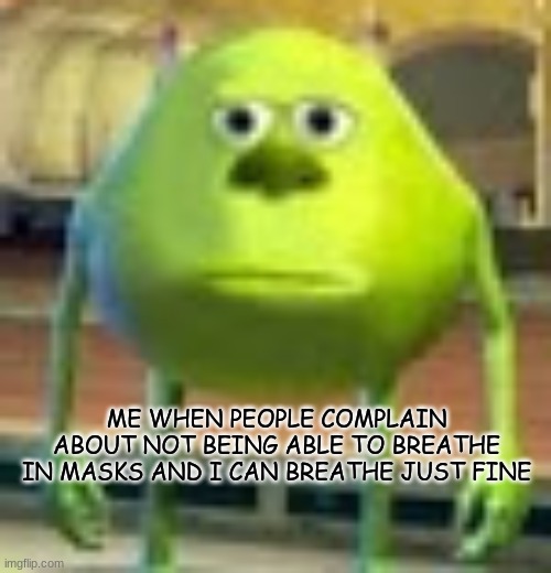 idk | ME WHEN PEOPLE COMPLAIN ABOUT NOT BEING ABLE TO BREATHE IN MASKS AND I CAN BREATHE JUST FINE | image tagged in sully wazowski | made w/ Imgflip meme maker