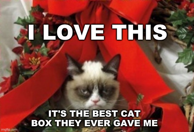 I LOVE THIS; IT'S THE BEST CAT BOX THEY EVER GAVE ME | image tagged in grumpy cat,holidays,litter box,pooping,i think we all know where this is going,that face you make when | made w/ Imgflip meme maker