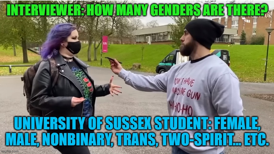 how many genders are there? | INTERVIEWER: HOW MANY GENDERS ARE THERE? UNIVERSITY OF SUSSEX STUDENT: FEMALE, MALE, NONBINARY, TRANS, TWO-SPIRIT... ETC. | image tagged in university,of,sussex,genders | made w/ Imgflip meme maker