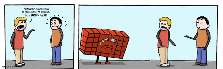 A brick wall | image tagged in talking to a brick wall,brick wall,bricks,brick,comics,comics/cartoons | made w/ Imgflip meme maker