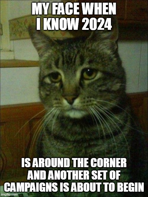My face when I know 2024 is around the corner and another set of campaigns is about to begin | MY FACE WHEN I KNOW 2024; IS AROUND THE CORNER AND ANOTHER SET OF CAMPAIGNS IS ABOUT TO BEGIN | image tagged in memes,depressed cat,politics,campaign,2024,election | made w/ Imgflip meme maker