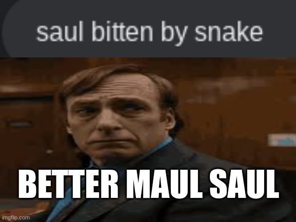 better maul saul | BETTER MAUL SAUL | image tagged in better call saul,snake,google search,memes,stop reading the tags,i said stop | made w/ Imgflip meme maker