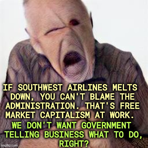 Southwest Airlines makes its own decisions. You don't want Big Brother telling them how to run their business, do you? | IF SOUTHWEST AIRLINES MELTS 

DOWN, YOU CAN'T BLAME THE ADMINISTRATION. THAT'S FREE MARKET CAPITALISM AT WORK. WE DON'T WANT GOVERNMENT 
TELLING BUSINESS WHAT TO DO,
RIGHT? | image tagged in free market,capitalism,government,regulation,hypocrites | made w/ Imgflip meme maker