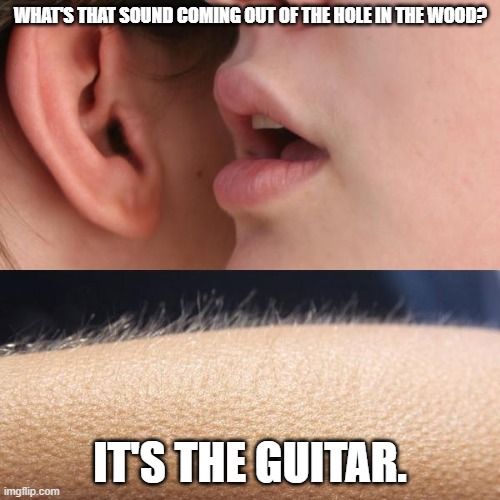 What's that sound? | WHAT'S THAT SOUND COMING OUT OF THE HOLE IN THE WOOD? IT'S THE GUITAR. | image tagged in whisper and goosebumps | made w/ Imgflip meme maker