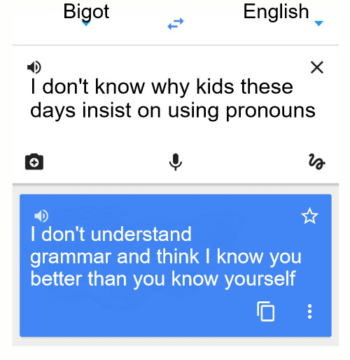 Bigot to English Translate | Bigot; English; I don't know why kids these days insist on using pronouns; I don't understand grammar and think I know you better than you know yourself | image tagged in google translate,pronouns,grammar,bigot,english | made w/ Imgflip meme maker
